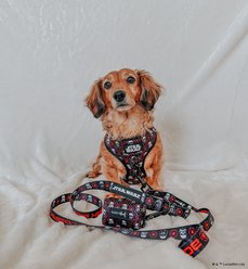 Sassy Woof STAR WARS The Dark Side Dog Harness & Leash, Medium: 18 to 25-in chest slide 2 of 8
