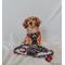 Show in main carousel: Sassy Woof STAR WARS The Dark Side Dog Harness & Leash, Medium: 18 to 25-in chest slide 9 of 9