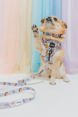 Show full view: Sassy Woof Disney's Jasmine Dog Harness & Leash, Medium: 18 to 25-in chest slide 9 of 9