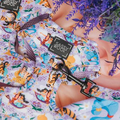 Show full view: Sassy Woof Disney's Jasmine Dog Harness & Leash, Medium: 18 to 25-in chest slide 8 of 9