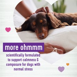 Wellness Calm Relaxation Support Cheese Flavor Chew Supplements for Dogs, 45 count slide 2 of 8