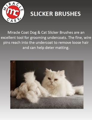 Show full view: Miracle Care Slicker Dog Brush, Large slide 3 of 7