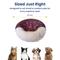 Show in main carousel: PawsPik Orthopedic Memory Foam Donut-Themed Plush Bolster Cat & Dog Bed & Removable Cover, Medium, Chocolate slide 7 of 9