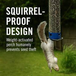 Droll Yankees Yankee Whipper Collapsing Curved Perch Bird Feeder, 21-in slide 2 of 9