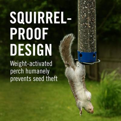 Show full view: Droll Yankees Yankee Whipper Collapsing Curved Perch Bird Feeder, 21-in slide 2 of 10