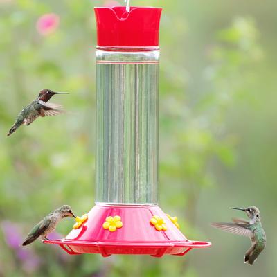 Show full view: Perky-Pet Our Best Glass Hummingbird Feeder, 30-oz slide 7 of 10