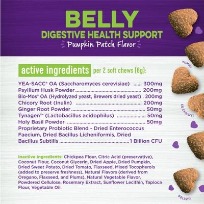 Show full view: Wellness Belly Digestive Health Support Pumpkin Flavor Chew Supplements for Dogs, 45 count slide 8 of 10