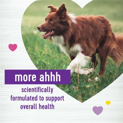 Show full view: Wellness Peanut Butter & Apple Flavored Soft Chews Multi-Benefit Supplements for Dogs, 45 count slide 3 of 8