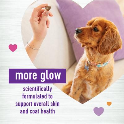 Show full view: Wellness Shine Skin & Coat Bacon Flavor Chew Supplements for Dogs, 45 count slide 3 of 10