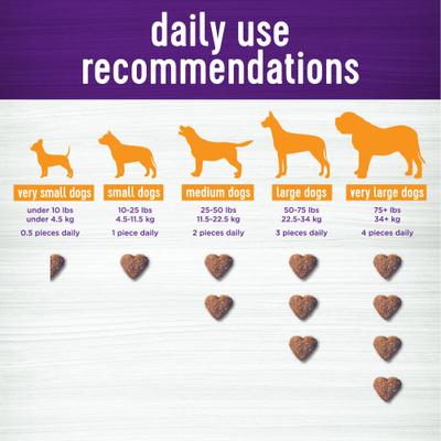 Show full view: Wellness Shine Skin & Coat Bacon Flavor Chew Supplements for Dogs, 45 count slide 9 of 10