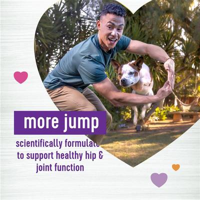 Show full view: Wellness Move Hip & Joint Chicken Flavor Chew Supplements for Dogs, 45 count slide 3 of 10