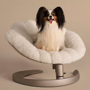 TAVO Shell latte シェルラテ　ペットマット TAVO PETS Shell Swaying Lounger Dog & Cat Bed, Latte - Chewy.com