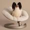 Show in main carousel: Tavo Pets Shell Swaying Lounger Dog & Cat Bed, Latte slide 1 of 9