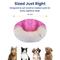 Show in main carousel: PawsPik Orthopedic Memory Foam Donut-Themed Plush Bolster Cat & Dog Bed & Removable Cover, Medium, Strawberry slide 8 of 10