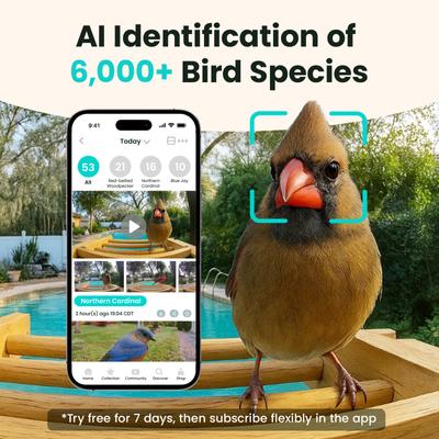 Show full view: Birdfy Bamboo Smart Bird Feeder with Camera Solar Powered Motion Detection, Black, 3.5L slide 2 of 11