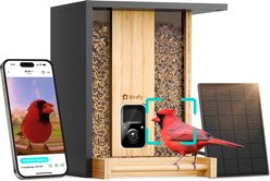 Birdfy Bamboo Smart Bird Feeder with Camera AI Lifetime Free Solar Powered Motion Detection, Black, 3.5L