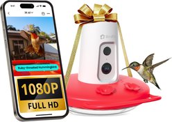 Birdfy Humming Bird Feeder with Camera Motion Detection, Red