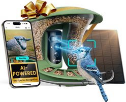 Birdfy Feeder 2 Pro AI Smart Bird Feeder with Camera AI Lifetime Free, Green