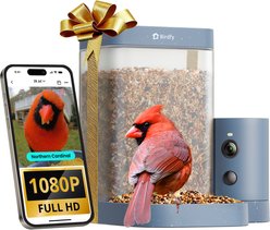 Birdfy Rookie Smart Bird Feeder with Camera, Blue