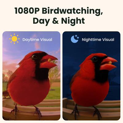 Show full view: Birdfy Bamboo Smart Bird Feeder with Camera Solar Powered Motion Detection, Black, 3.5L slide 5 of 11