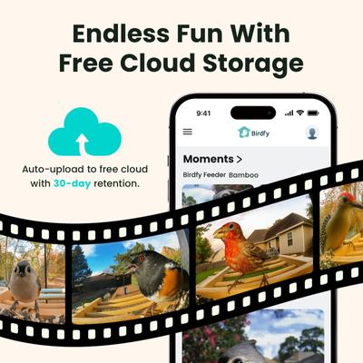 Show full view: Birdfy Bamboo Smart Bird Feeder with Camera Solar Powered Motion Detection, Black, 3.5L slide 4 of 11