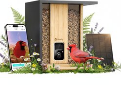 Birdfy Bamboo Smart Bird Feeder with Camera Solar Powered Motion Detection, Black, 3.5L