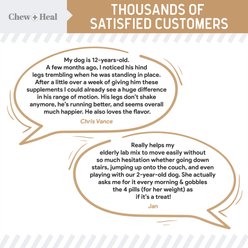 Chew + Heal Hip & Joint Mobility Peanut Butter Flavored Soft Chew Senior Dog Supplement, 60 count slide 2 of 9