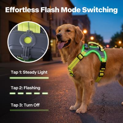 Show full view: allforpaws K-Nite Light Up Reflective Dog Harness, Green, Large: 19 to 33-in chest slide 2 of 10