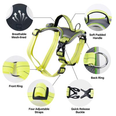 Show full view: allforpaws K-Nite Light Up Reflective Dog Harness, Green, Large: 19 to 33-in chest slide 3 of 10