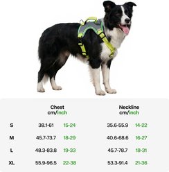 allforpaws K-Nite Light Up Reflective Dog Harness, Green, Small: 15 to 24-in chest slide 2 of 8