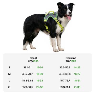 Show full view: allforpaws K-Nite Light Up Reflective Dog Harness, Green, Large: 19 to 33-in chest slide 6 of 10