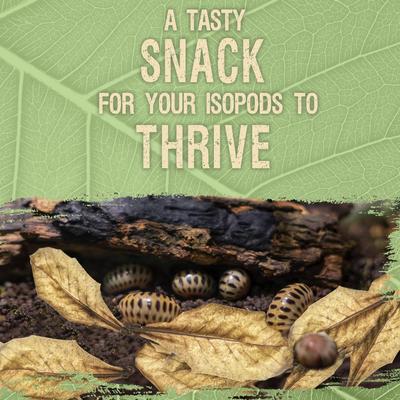 Show full view: SunGrow Isopods & Crickets Indian Almond Catappa Leaf Litter & Substrate for Reptile Terrarium & Vivarium, 10 count slide 4 of 9