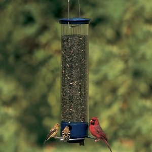 Droll Yankees Yankee Whipper Collapsing Curved Perch Bird Feeder, 21-in