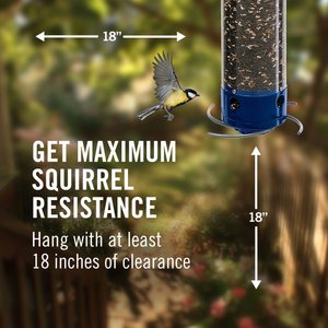 Droll Yankees Yankee Whipper Collapsing Curved Perch Bird Feeder, 21-in