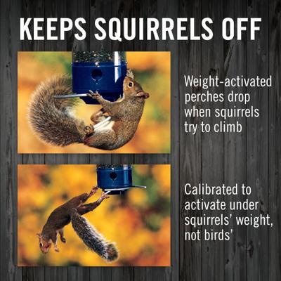 Show full view: Droll Yankees Yankee Whipper Collapsing Curved Perch Bird Feeder, 21-in slide 5 of 10