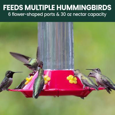 Show full view: Perky-Pet Our Best Glass Hummingbird Feeder, 30-oz slide 8 of 10