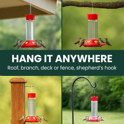 Show full view: Perky-Pet Our Best Glass Hummingbird Feeder, 30-oz slide 6 of 10