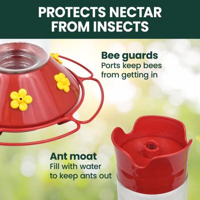 Show full view: Perky-Pet Our Best Glass Hummingbird Feeder, 30-oz slide 4 of 10