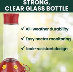 Perky-Pet Our Best Glass Hummingbird Feeder, 30-oz slide 2 of 9
