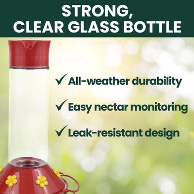 Show full view: Perky-Pet Our Best Glass Hummingbird Feeder, 30-oz slide 2 of 10