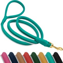 OOPSDOGGY Outdoor Rolled Leather Reflective Walking Running Dog Leash, Teal, Medium/Large: 6-ft long, 3/4-in wide
