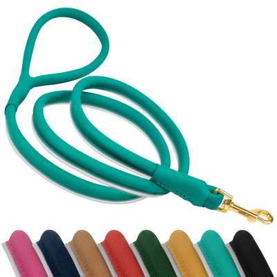 Show full view: OOPSDOGGY Outdoor Rolled Leather Reflective Walking Running Dog Leash, Teal, Small: 6-ft long, 3/8-in wide slide 1 of 8