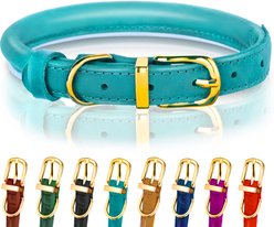 OOPSDOGGY Soft Padded Rolled Leather Reflective Dog Collar, Teal, Small: 10 to 13-in neck, 3/5-in wide