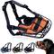 Show in main carousel: OOPSDOGGY Adjustable Breathable Wire Basket Metal Rottweiler Dog Muzzle, Orange slide 1 of 9