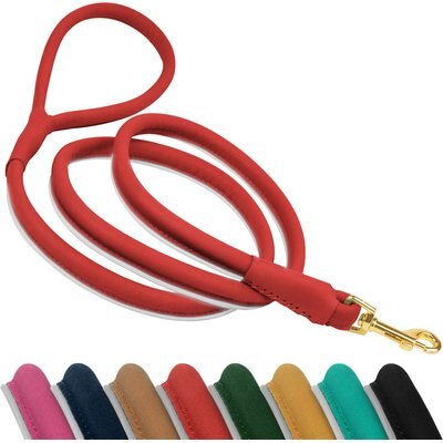 OOPSDOGGY OOPSDOGGY Outdoor Rolled Leather Reflective Walking Running Dog Leash, Red, Medium/Large: 6-ft long, 3/4-in wide