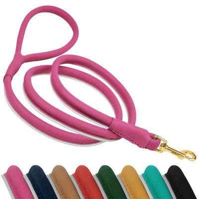 Show full view: OOPSDOGGY Outdoor Rolled Leather Reflective Walking Running Dog Leash, Pink, Small: 6-ft long, 3/8-in wide slide 1 of 8