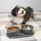 Show in main carousel: THE LICKER STORE Marbre Modern Weighted Double Marble & Stainless Steel Dog & Cat Bowl, Medium: 1.5-cup, Black/White slide 7 of 9