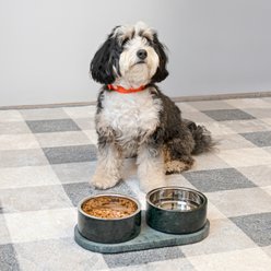 THE LICKER STORE Marbre Modern Weighted Double Marble & Stainless Steel Dog & Cat Bowl, Medium: 1.5-cup, Green slide 2 of 8