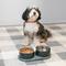 Show in main carousel: THE LICKER STORE Marbre Modern Weighted Double Marble & Stainless Steel Dog & Cat Bowl, Medium: 1.5-cup, Green slide 2 of 8