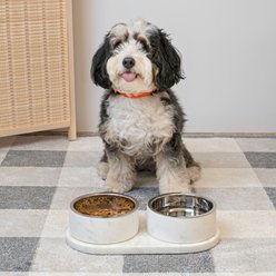 THE LICKER STORE Marbre Modern Weighted Double Marble & Stainless Steel Dog & Cat Bowl, Medium: 1.5-cup, White slide 2 of 8